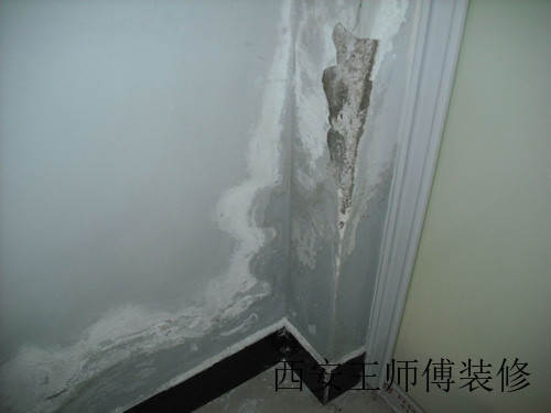 墙体为什么会漏水 墙体漏水怎么办