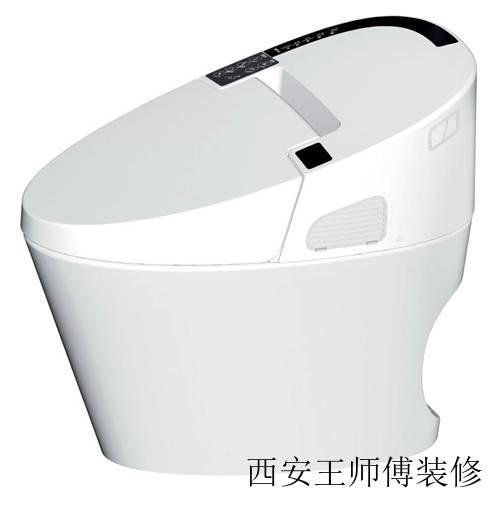 智能抽水马桶怎么样 只能抽水马桶有哪些优缺点