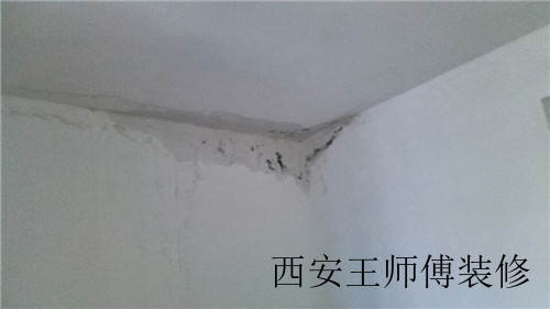房屋漏水怎么处理 检查房屋漏水的原因