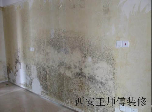 墙面潮湿的原因 墙面潮湿怎么处理