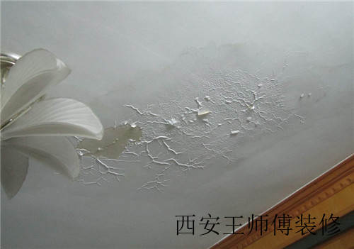 房屋漏水检测 掌握方法避免漏水问题