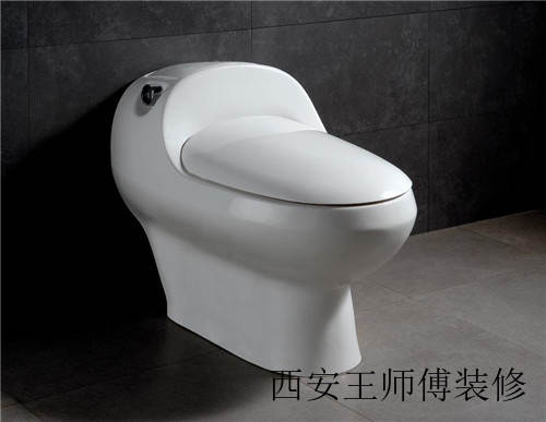 怎样选马桶才正确 选购马桶的四种办法