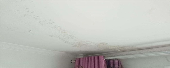 乳胶漆哪种裂缝属于正常裂缝