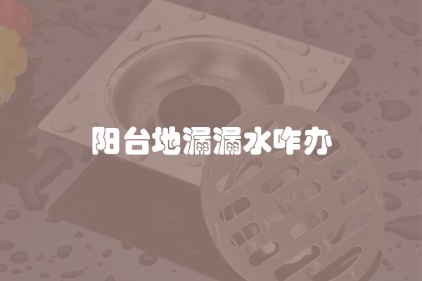 阳台地漏漏水咋办