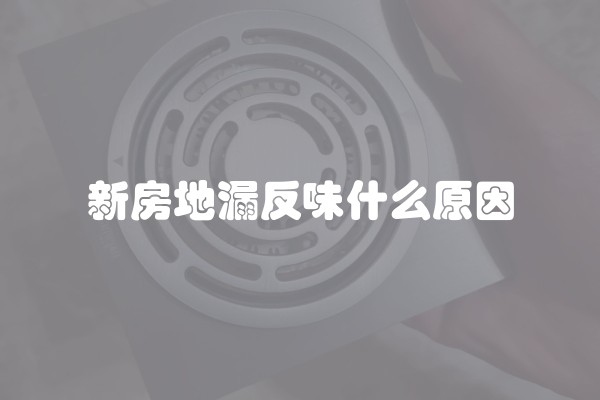 新房地漏反味什么原因