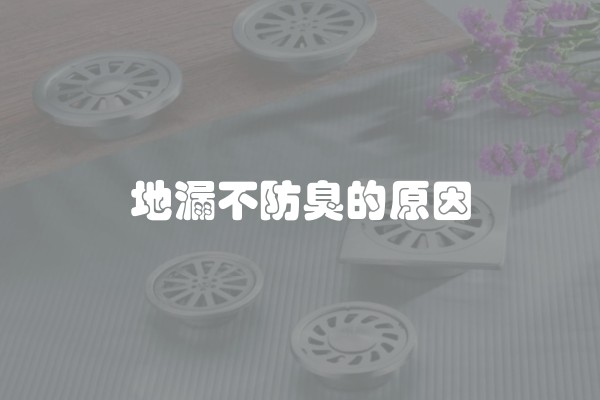 地漏不防臭的原因