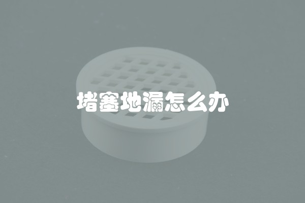 堵塞地漏怎么办