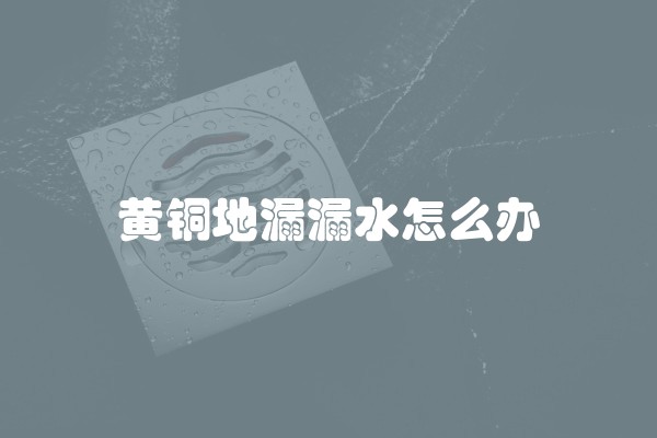 黄铜地漏漏水怎么办