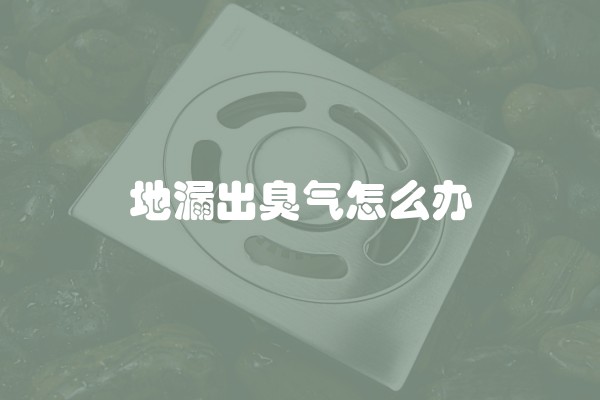 地漏出臭气怎么办