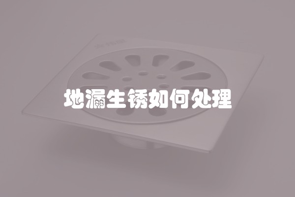 地漏生锈如何处理