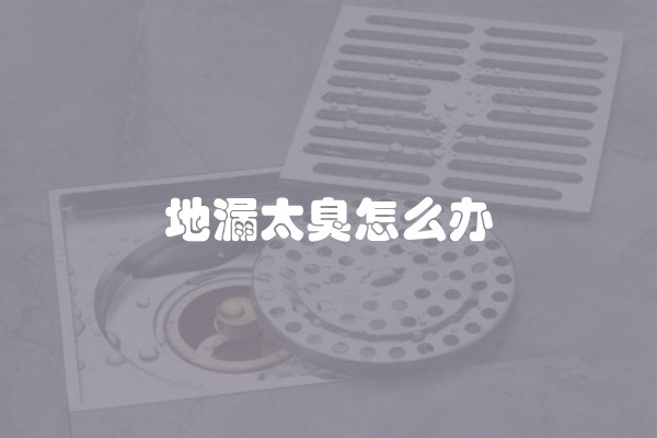 地漏太臭怎么办