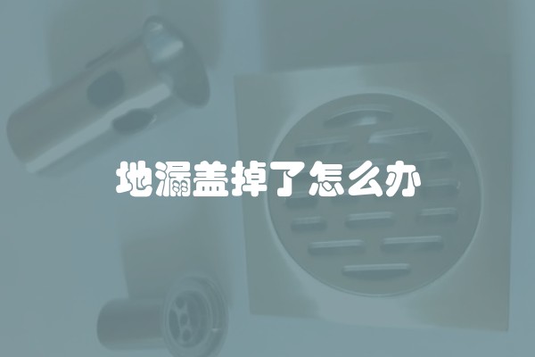 地漏盖掉了怎么办