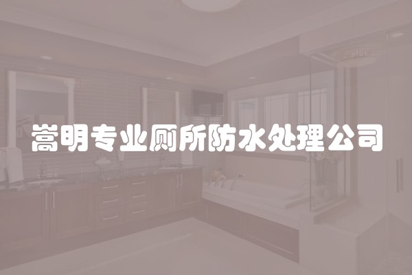 嵩明专业厕所防水处理公司