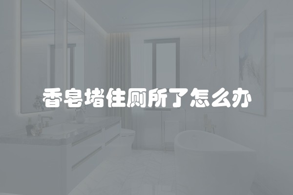 香皂堵住厕所了怎么办