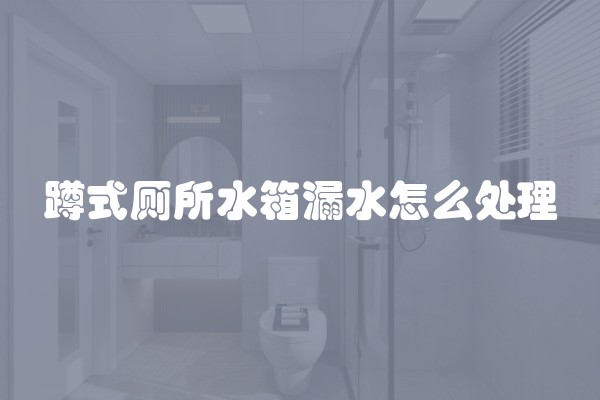 蹲式厕所水箱漏水怎么处理