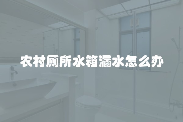 农村厕所水箱漏水怎么办