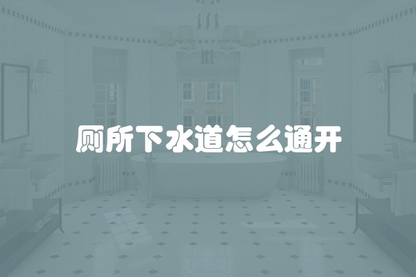 厕所下水道怎么通开