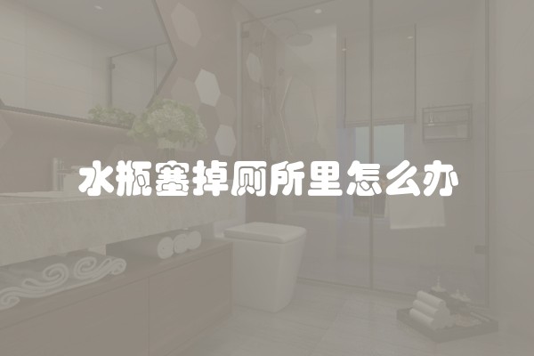 水瓶塞掉厕所里怎么办