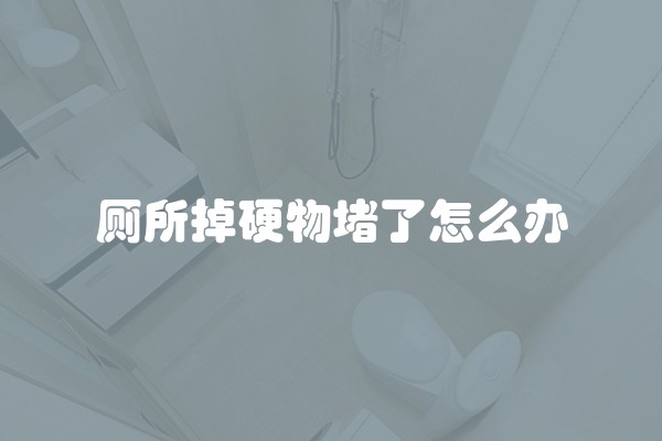 厕所掉硬物堵了怎么办