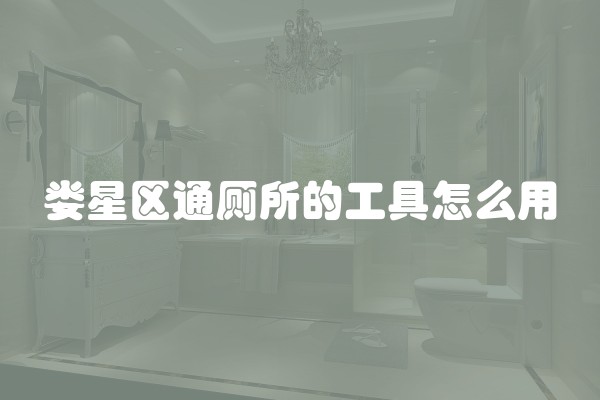 娄星区通厕所的工具怎么用