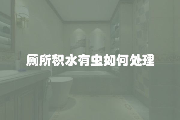 厕所积水有虫如何处理