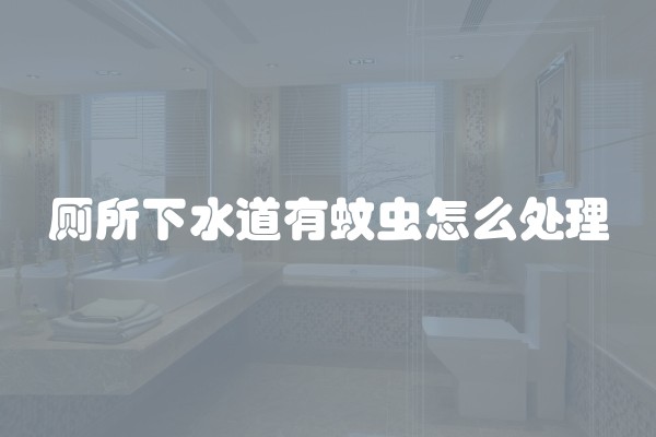 厕所下水道有蚊虫怎么处理