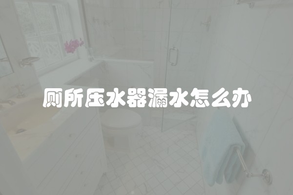 厕所压水器漏水怎么办