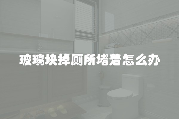 玻璃块掉厕所堵着怎么办