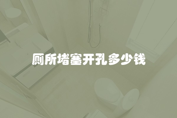 厕所堵塞开孔多少钱