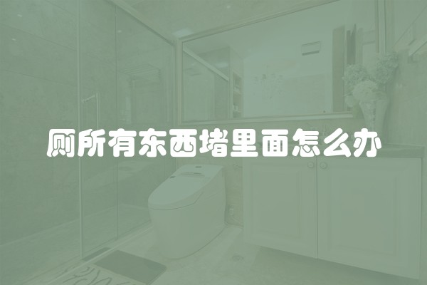 厕所有东西堵里面怎么办