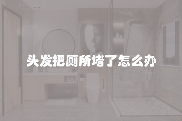 头发把厕所堵了怎么办