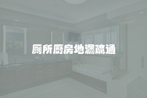 厕所厨房地漏疏通