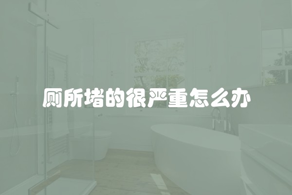 厕所堵的很严重怎么办
