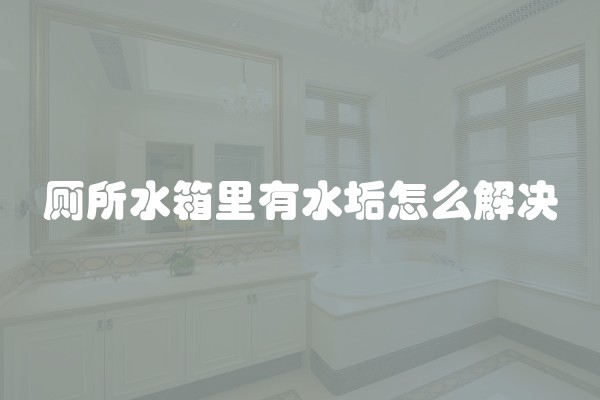 厕所水箱里有水垢怎么解决