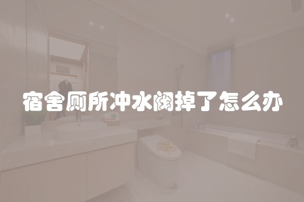 宿舍厕所冲水阀掉了怎么办