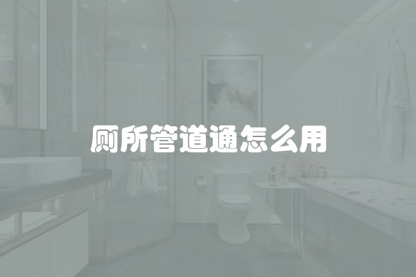 厕所管道通怎么用
