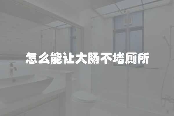 怎么能让大肠不堵厕所