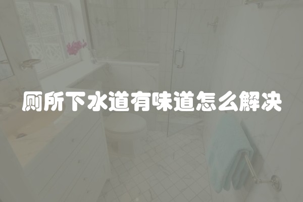 厕所下水道有味道怎么解决