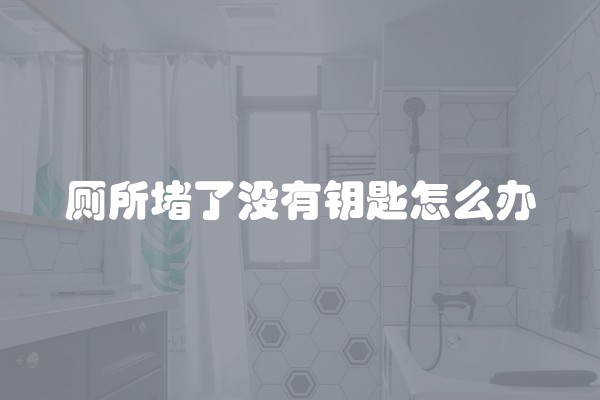 厕所堵了没有钥匙怎么办
