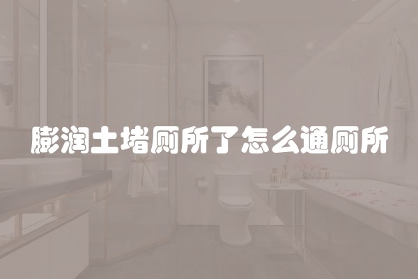 膨润土堵厕所了怎么通厕所