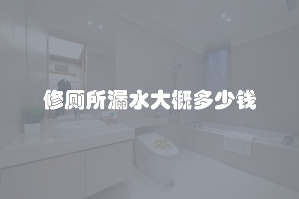 修厕所漏水大概多少钱