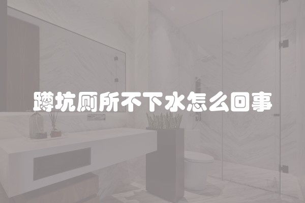 蹲坑厕所不下水怎么回事