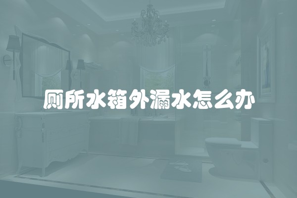 厕所水箱外漏水怎么办