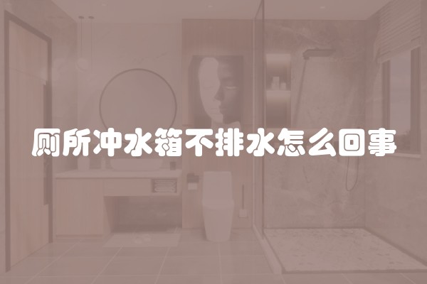 厕所冲水箱不排水怎么回事
