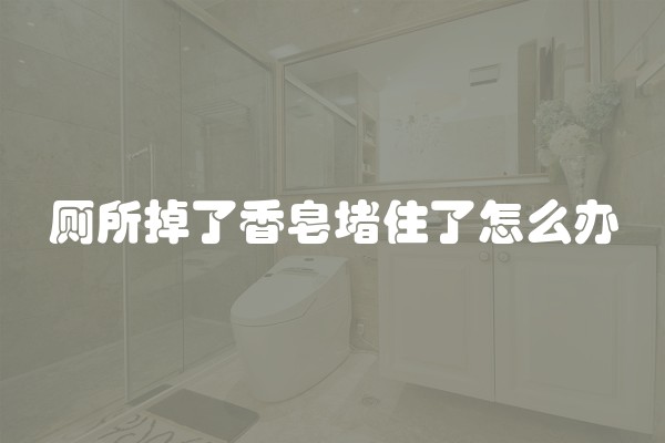 厕所掉了香皂堵住了怎么办