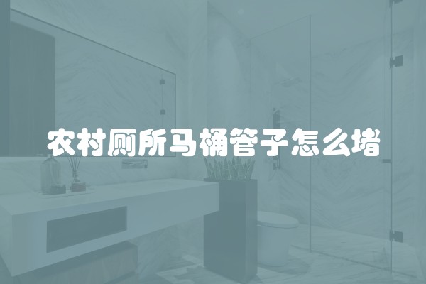农村厕所马桶管子怎么堵