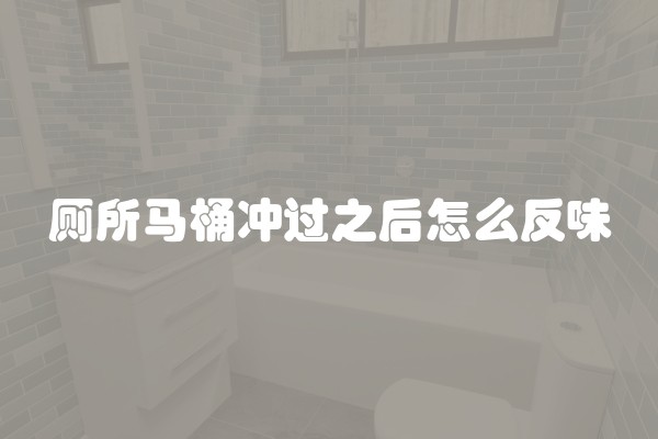 厕所马桶冲过之后怎么反味