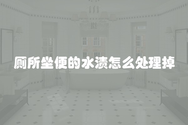 厕所坐便的水渍怎么处理掉
