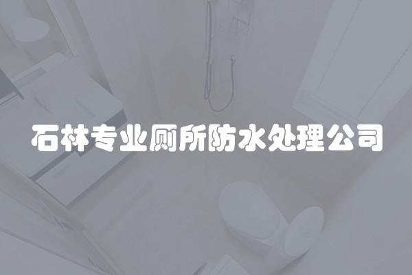 石林专业厕所防水处理公司