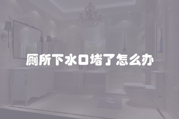 厕所下水口堵了怎么办